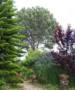 The Pranic Garden in Carlsbad