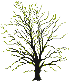 The Pranic Garden in Carlsbad