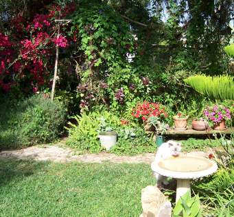 The Pranic Garden in Carlsbad