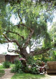 The Pranic Garden in Carlsbad